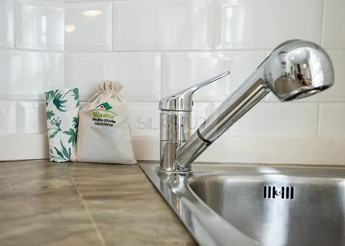 Apartman Pelayo 1 Gijón